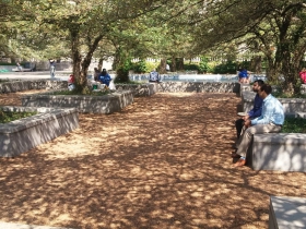 South Garden
