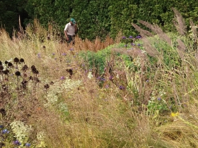 Lurie Garden