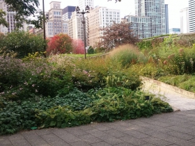Lurie Garden