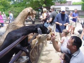 Henry Vilas Zoo