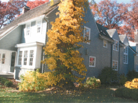 Craig Counsell's Whitefish Bay Winner Prior to Renovations.