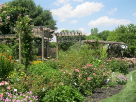 The Radler Rosarium.