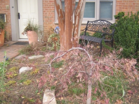 Ron Johnson's front yard.