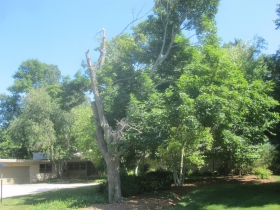 A Rare Frank Lloyd Wright Home
