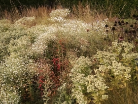 Lurie Garden