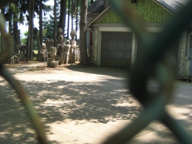 Looking through the fence.