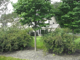 Tim Sheehy's Home.