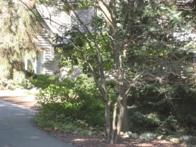 David Winograd's Mequon McMansion