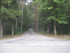 Driveway to the Minahan home.
