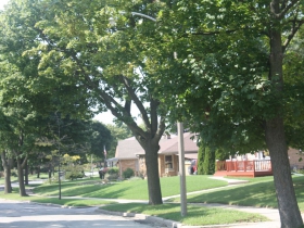 Van Norman Avenue