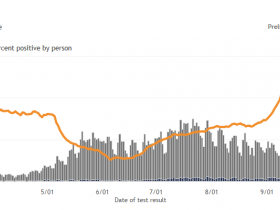 Cases of COVID-19 in Wisconsin Over Time.