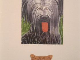 JoAnna Poehlmann Work