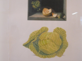 JoAnna Poehlmann Work