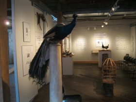 JoAnna Poehlmann Work
