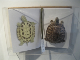 JoAnna Poehlmann Work