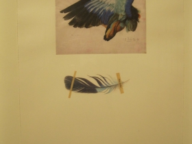 JoAnna Poehlmann Work