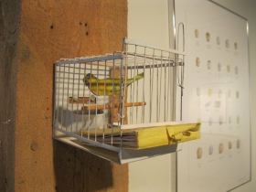 JoAnna Poehlmann Work