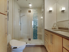 1660 N. Prospect Ave., Unit 1909