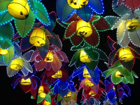 Lotus Lanterns
