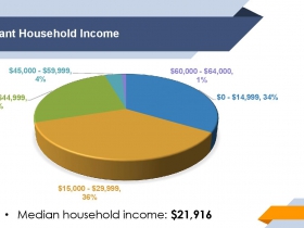 Anti-Displacement Fund Participant Income