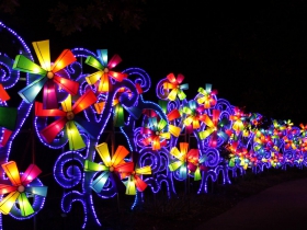 Pinwheel Flowers