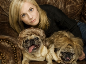 bamfordpugswigs