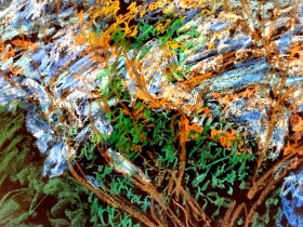 Tree Drawing by Adolph Rosenblatt.