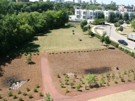 Future Pond