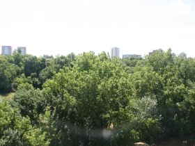 Southeastern View