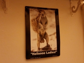 Helloooo Ladies!