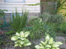 The Riverwest 24 Countdown House yard