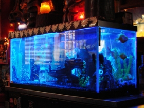 Fish tank behind the bar.