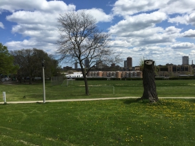 Alice Bertschy Kadish Park