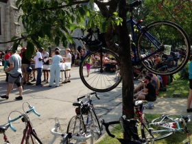 Treed bike.