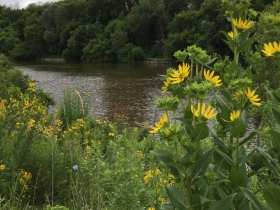 Milwaukee River