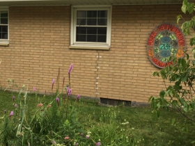 River Revitalization Foundation