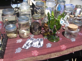 Animals in a Jar