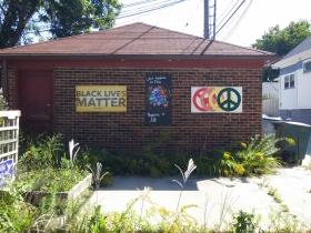 Peace Action Wisconsin.