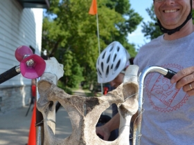 Team Boneshaker