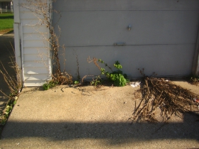 Gwen Moore's garage.
