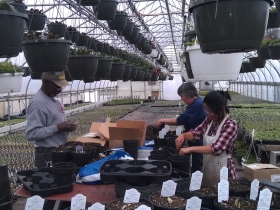 Weber's Garden Center
