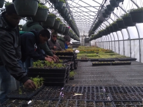 Weber's Garden Center
