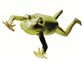 FROGZ