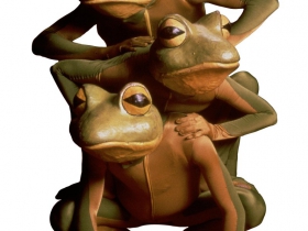 FROGZ