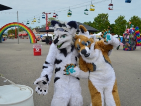 Furries