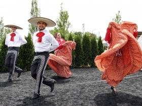 Dance Academy of Mexico, Culture & Diversity Through The Arts