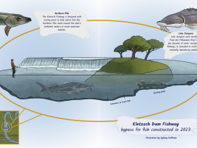 Kletzsch cross section