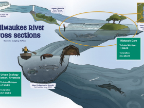 Milwaukee River cross sections