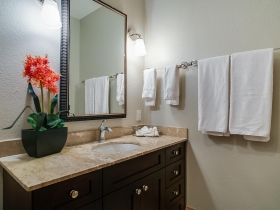 1313 N. Franklin Pl., Unit 702