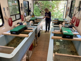 Mary Holleback, educator and science manager for the nonprofit Riveredge, has assisted Wisconsin Department of Natural Resources (WDNR) in a unique program rearing lake sturgeon for the past 17 years